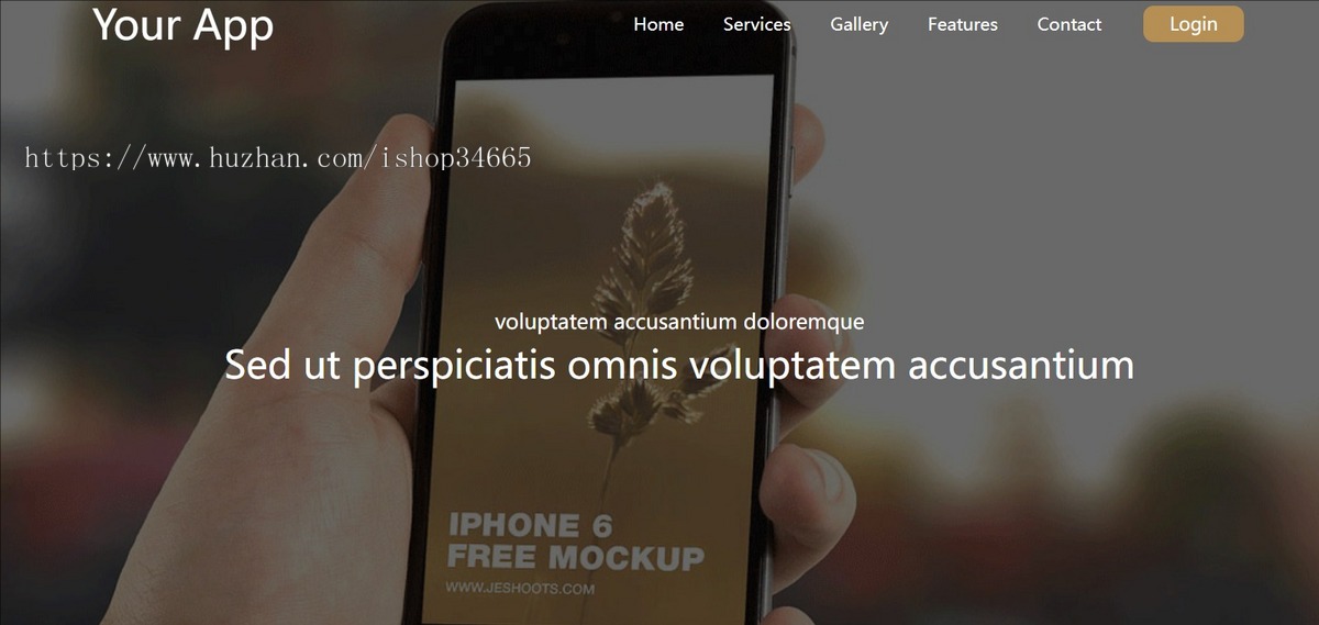 棕色风格app官网APP手机应用开发企业网站模板