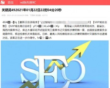 【包搭建】飞鸟泛目录风度SEO二开修改版
