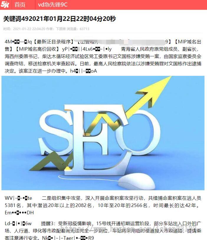 【包搭建】飞鸟泛目录风度SEO二开修改版