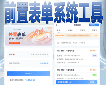 地推服务商前置表单工具前置页系统搭建自定义表单实时数据查询