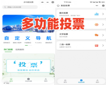 多功能投票小程序 发起投票 统计票数