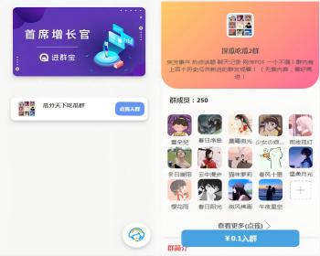 WordPress开发进群主题源码，多种引流方法，引私域二次变现