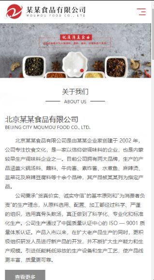 餐饮调味料食品响应式含授权企业站群地区多城市分站