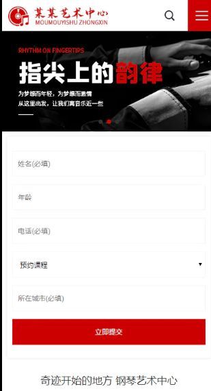 钢琴艺术培训响应式含授权企业站群地区多城市分站