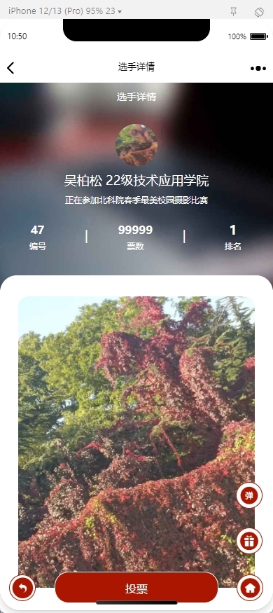 【商用无忧】微信H5|小程序多活动投票管理系统,海报+礼物+防风