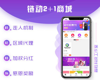 链动2+1链动模式股东分红直推奖见点奖平级奖加权分红区域代理公排分销商城