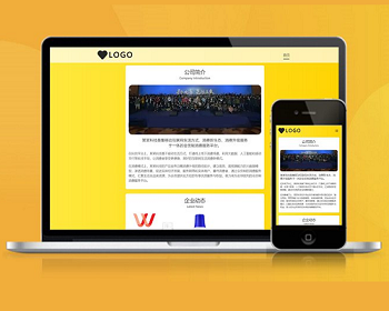 公司展示 大气 简洁 宣传页 着陆页 落地页 引导页