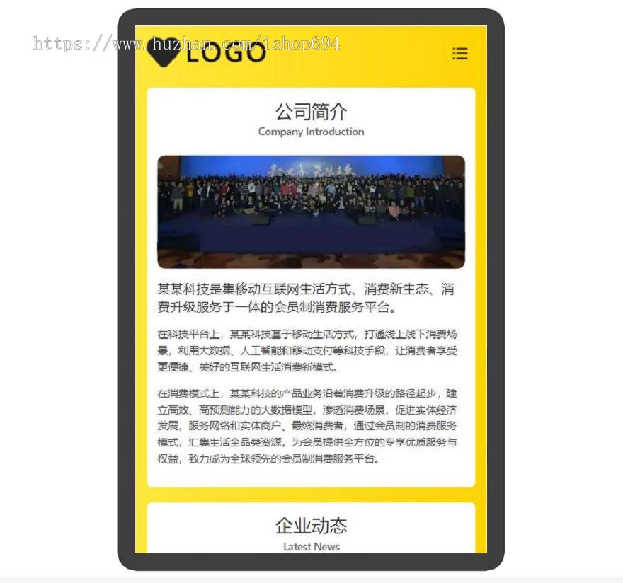 公司展示 大气 简洁 宣传页 着陆页 落地页 引导页