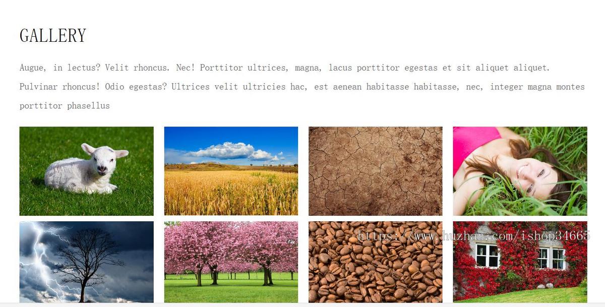儿童英语培训学校网站模板HTML