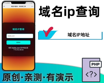 网站域名IP查询,域名IP查询,IP地址工具,网站IP