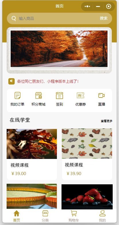在线教育/在线课堂/视频教学/音频教学/线上课堂/知识付费/视频变现