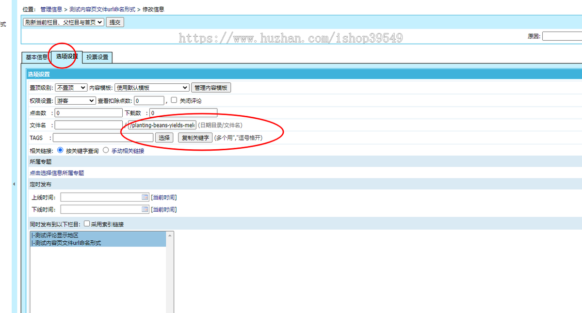 帝国cms生成静态url英文标题链接方式如aaa-bbb-ccc-1.html静态插件内容页文件命名形式