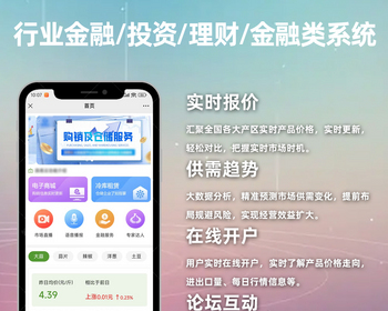 行业金融/投资/理财/金融类系统SAAS版
