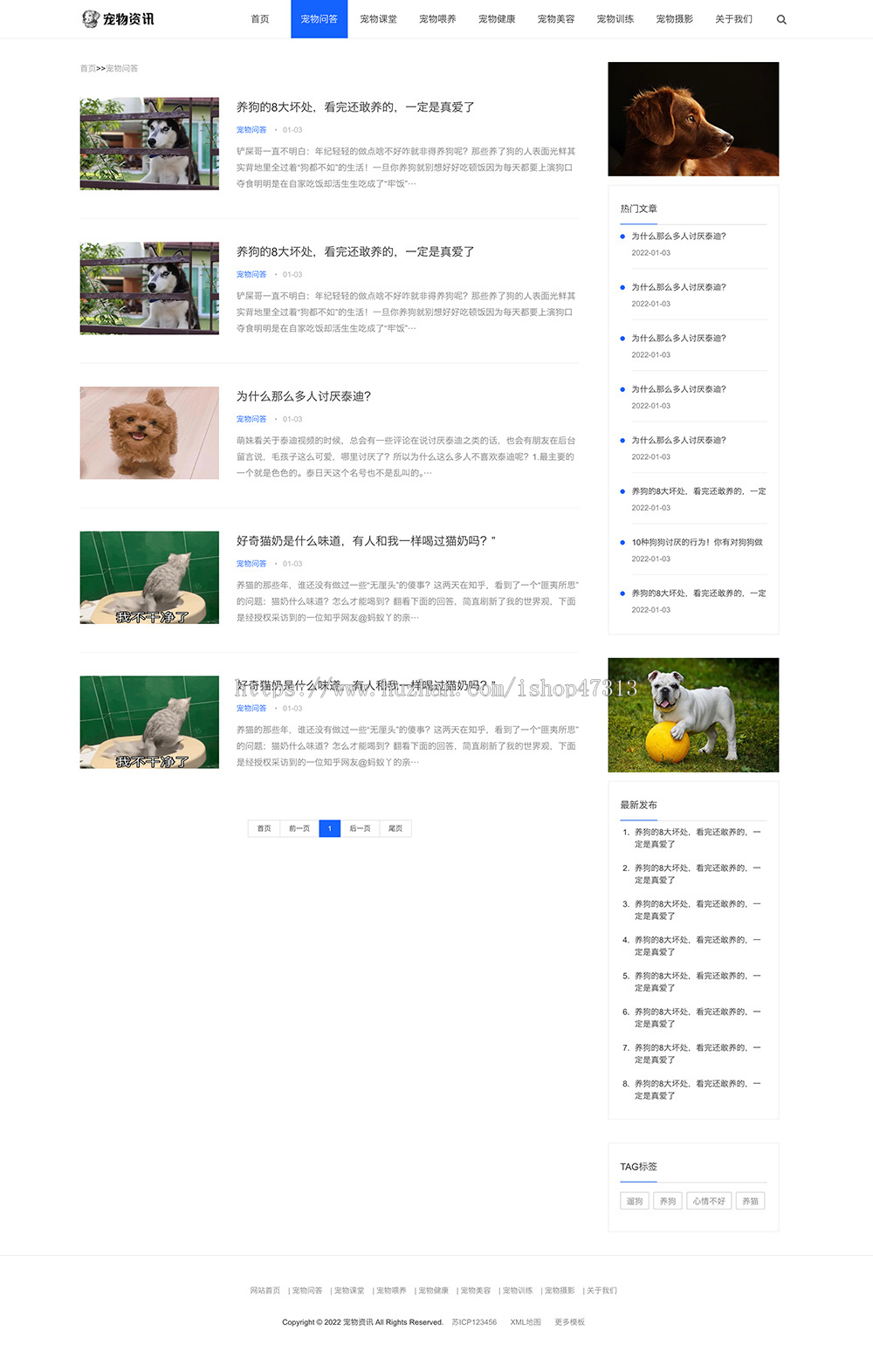 W065响应式宠物资讯博客经验网站自适应手机模板pbootcms企业模板整站源码下载
