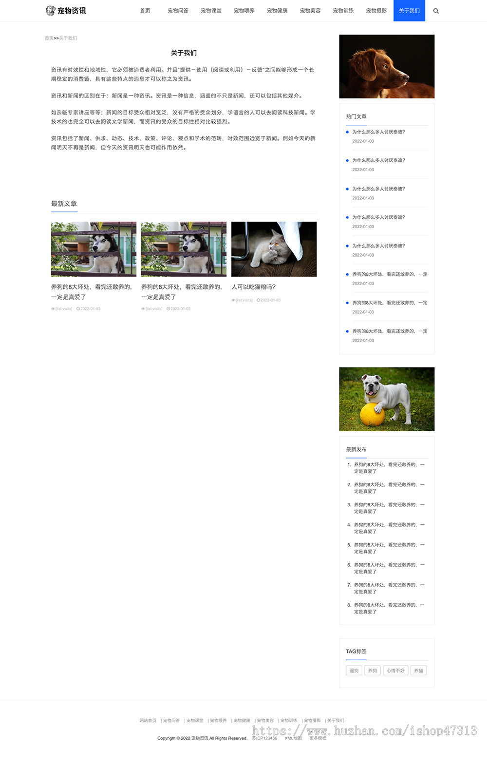 W065响应式宠物资讯博客经验网站自适应手机模板pbootcms企业模板整站源码下载