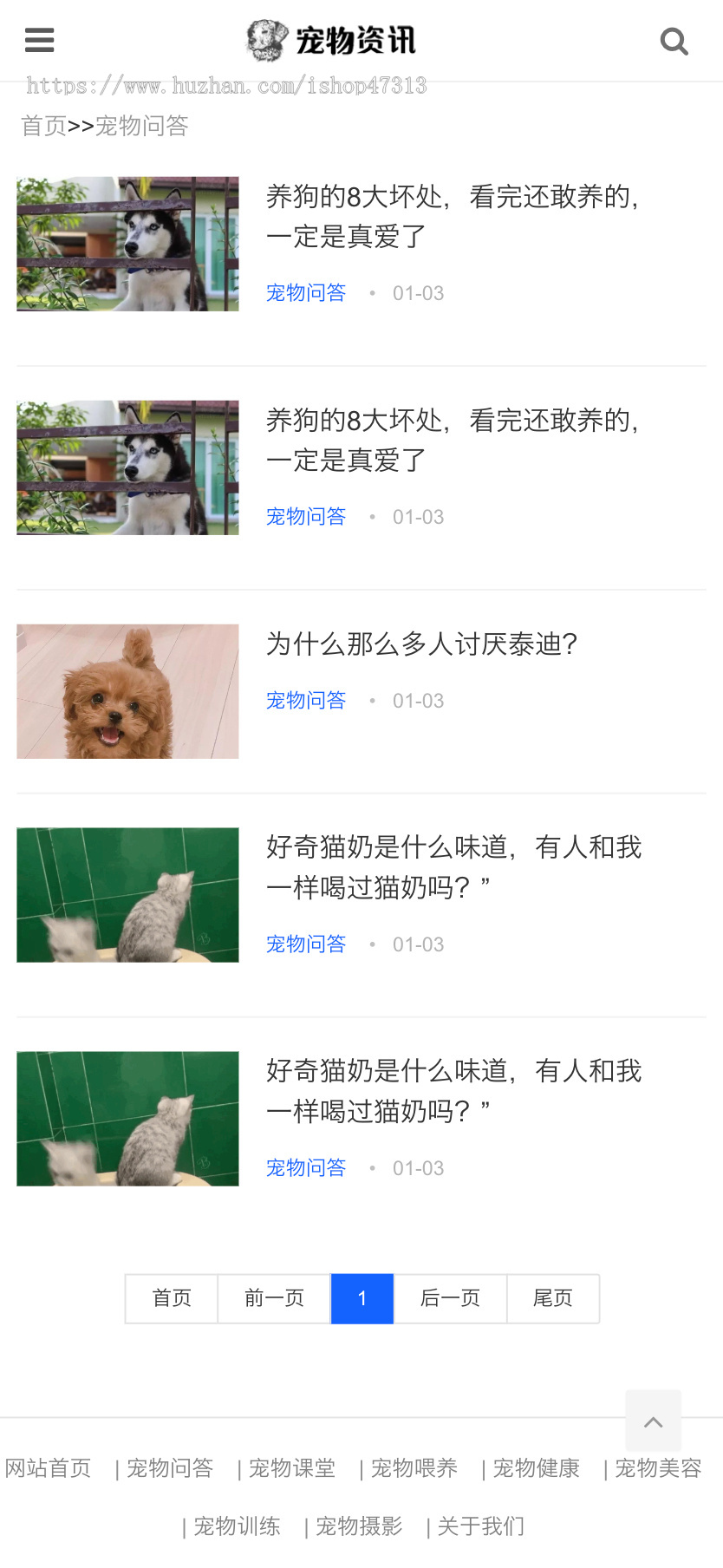 W065响应式宠物资讯博客经验网站自适应手机模板pbootcms企业模板整站源码下载