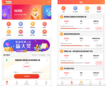 2024多语言投资理财源码/支持自定义产品投资/房产酒店投资源码理财源码/前端vue纯源码
