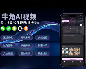AI视频小程序+H5（文生视频、图生视频）坑位