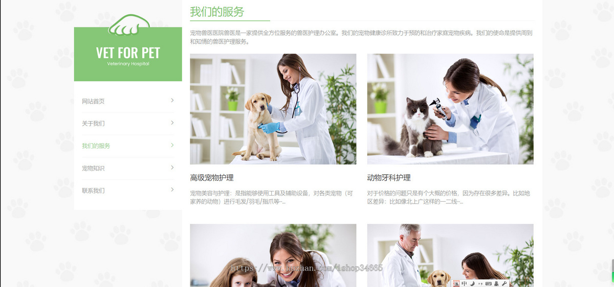 K10（自适应手机版）绿色清爽的宠物门诊医院pbootcms网站模板大气简洁的宠物店兽医网