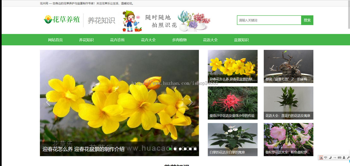 k284（PC+WAP）花卉养殖新闻资讯类pbootcms模板 绿色花草植物网站源码下载