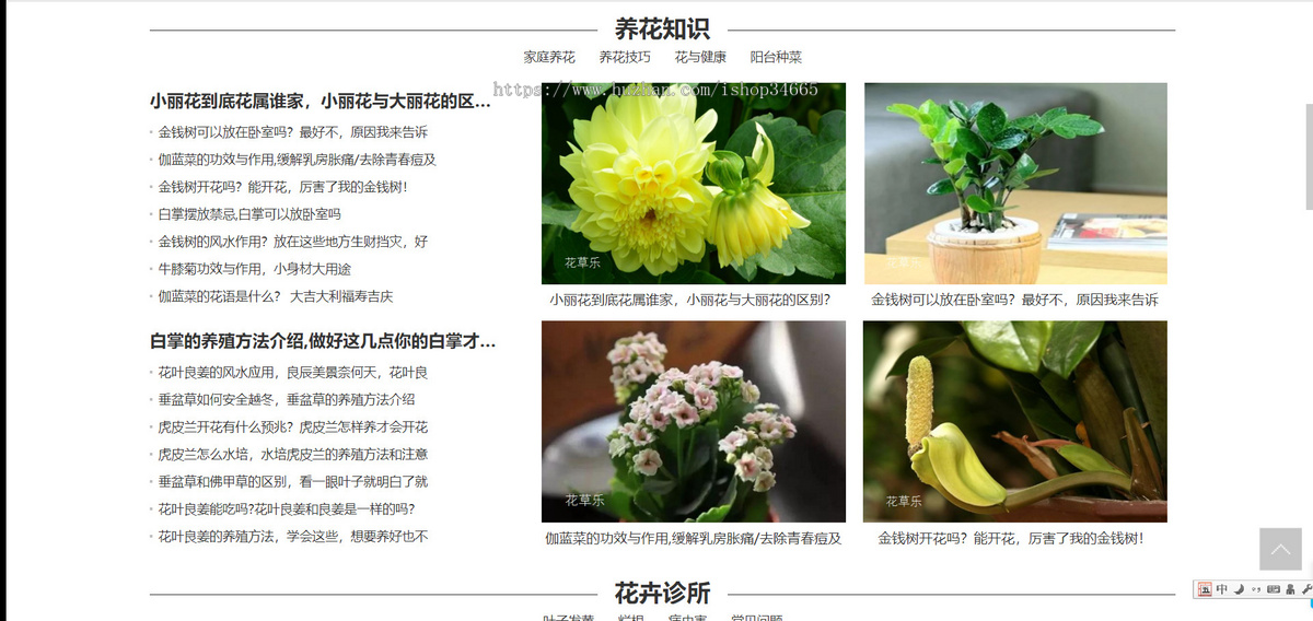 k284（PC+WAP）花卉养殖新闻资讯类pbootcms模板 绿色花草植物网站源码下载