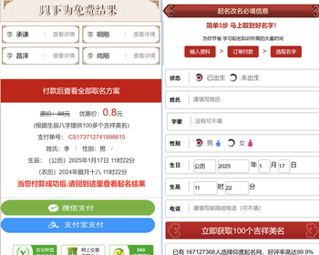 （手机自适应）易经起名宝宝起名源码公司起名网站系统新生儿起名网站源码取名八字