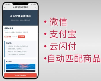 输入金额自动匹配商品商城远程收款异地收款h5支付
