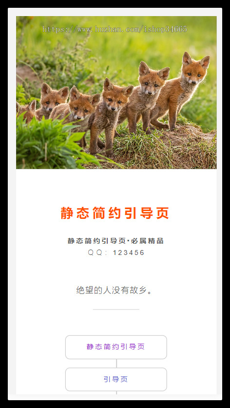 2025新个人主页静态简约引导页008