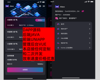 2025多语言DAPP源码BSC链JAVA系统，区块链理财质押分销团队USDT理财海外