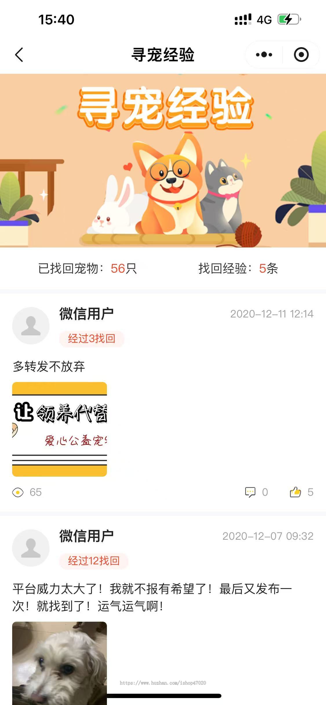 2026智慧AI宠物寻宠系统送养领养宠物软件防丢宠物牌宠物档案系统源码可二开
