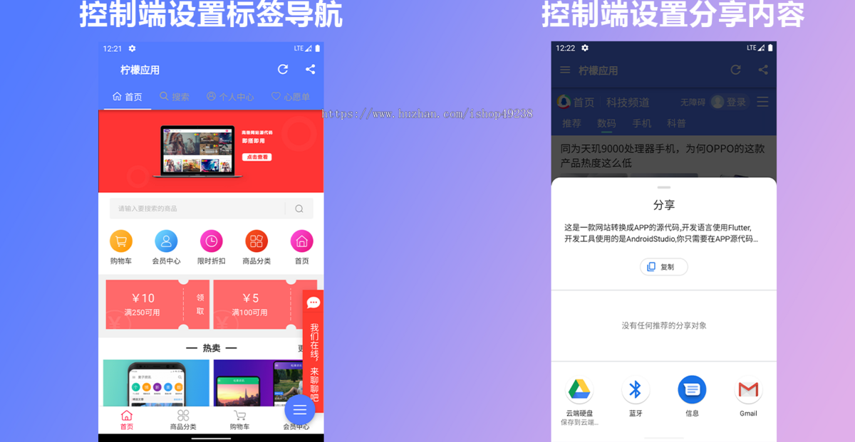 网站转换APP源代码 WebAPP源代码 网站生成APP源代码 Flutter项目 带控制端