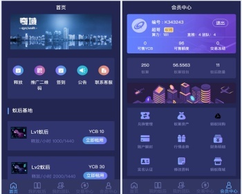 【升级版】疯狂蚂蚁区块链模式源码区块链模式全开源可二开可封装APP