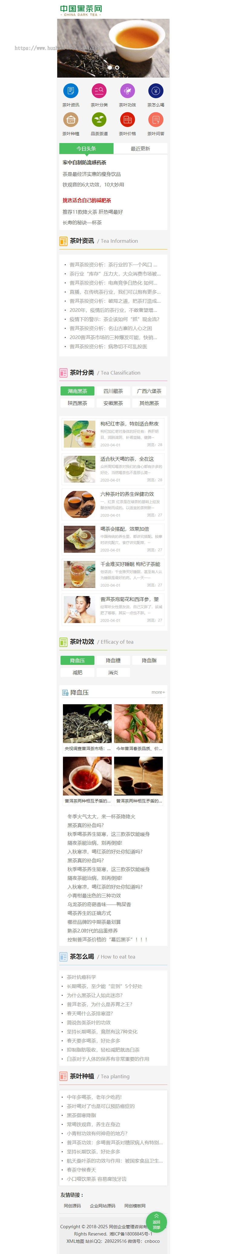 响应式茶叶茶艺文章网站模板新闻资讯知识网站源码模板程序