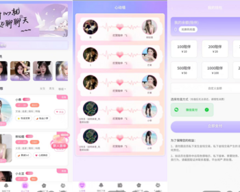 陪聊系统网站源码 娱乐交友系统公众号版