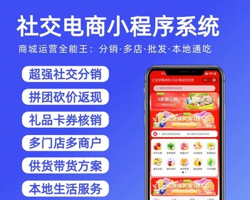 直销会员管理系统三三复制商城软件小程序级差公排分红分销商城链动2+1微商平台双轨制