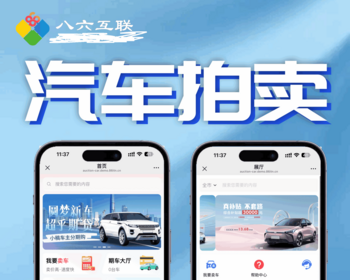 汽车拍卖系统二手车拍卖系统事故车拍卖系统