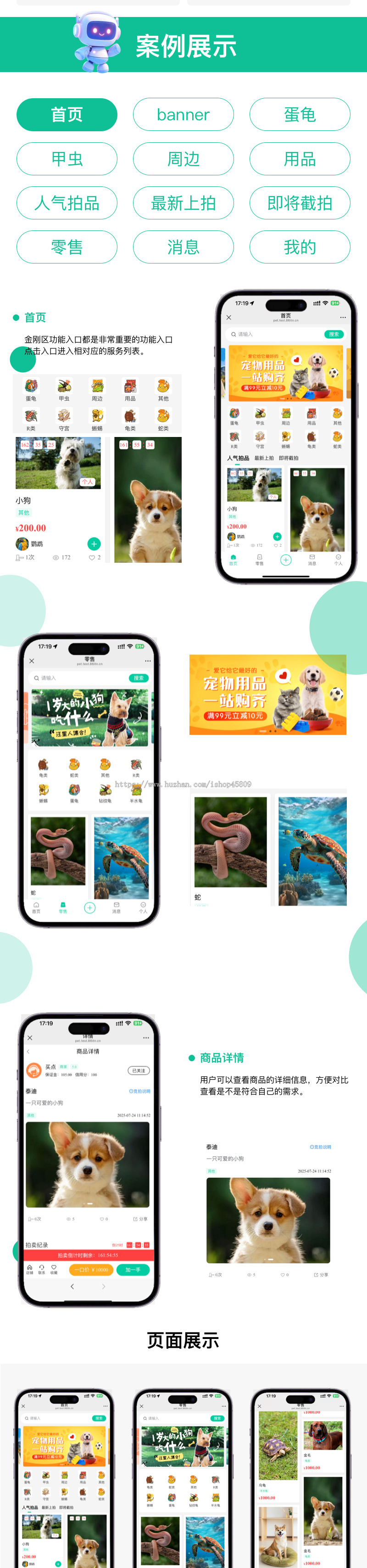 宠物拍卖系统,拍卖系统,多商家拍卖系统