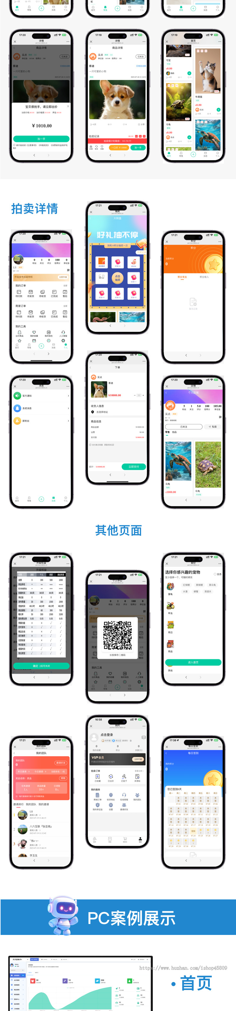 宠物拍卖系统,拍卖系统,多商家拍卖系统