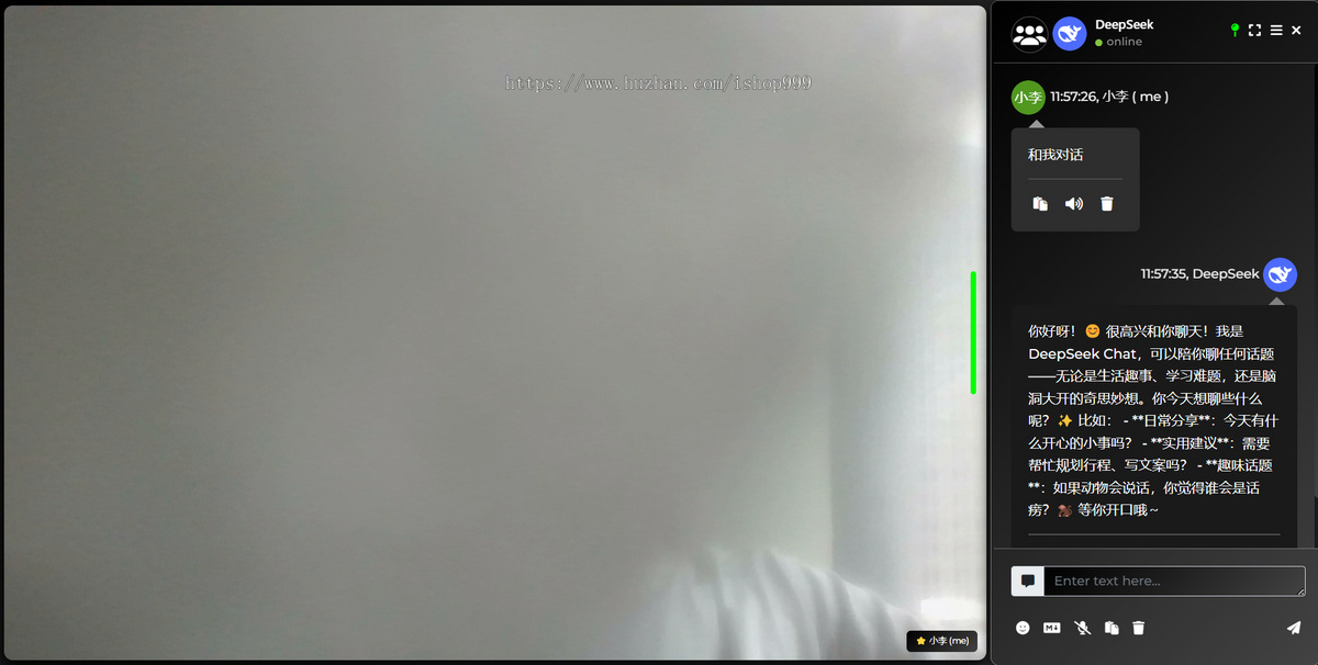 即时语音/视频/会议软件/接入ChatGPT和Deepseek/网页版