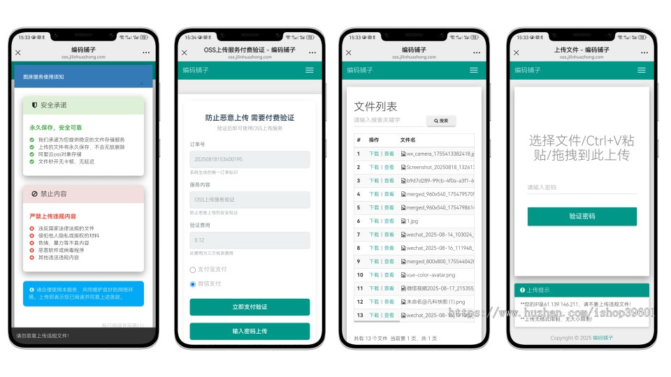 外链网盘图床系统带支付功能密码上传会员登录
