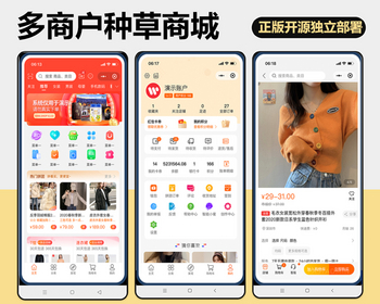 WANLSHOP直播短视频种草多用户电商系统正版外包开发代码阶梯商家入驻等拼团IM在线客服