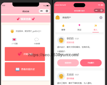 老年ai模拟恋爱抖音快手微信小程序看广告流量主开源