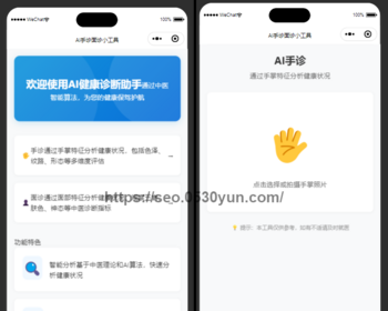 ai手诊面诊抖音快手微信小程序看广告流量主开源