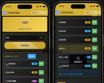 王者重名生成查询抖音快手微信小程序看广告流量主开源