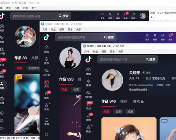 抖音作品无水印批量下载工具.NET源码