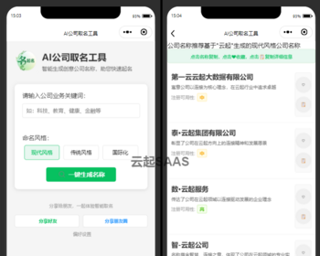ai公司起名取名抖音快手微信小程序看广告流量主开源