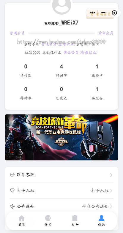 电竞护航,游戏三角洲护航