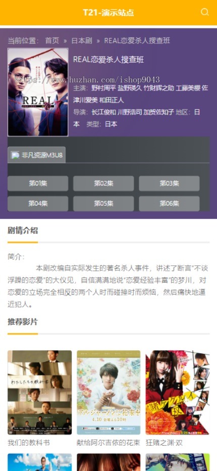 t21高端简约大气自适应手机PC电脑自适应模板苹果CMSV10模板