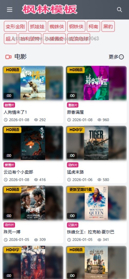 t31高端大气灰黑风格自适应手机PC电脑自适应模板苹果CMSV10模板