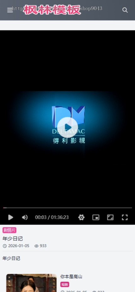 t31高端大气灰黑风格自适应手机PC电脑自适应模板苹果CMSV10模板
